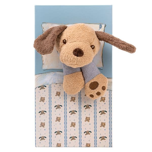 Chien lesté en pyjama